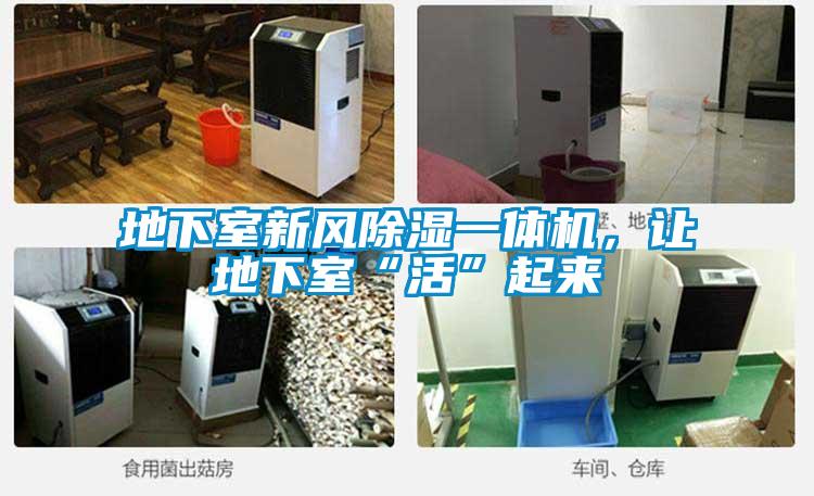 地下室新風(fēng)除濕一體機，讓地下室“活”起來