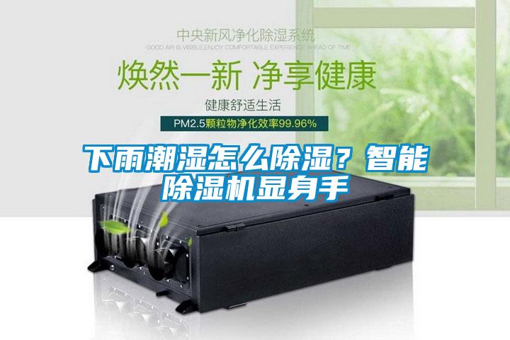 下雨潮濕怎么除濕？智能除濕機(jī)顯身手