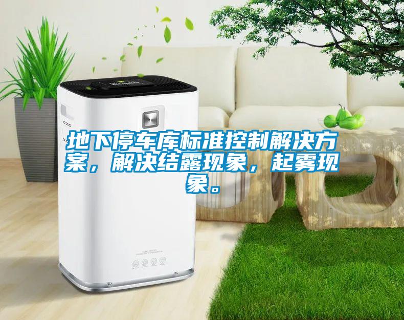 地下停車庫(kù)標(biāo)準(zhǔn)控制解決方案，解決結(jié)露現(xiàn)象，起霧現(xiàn)象。