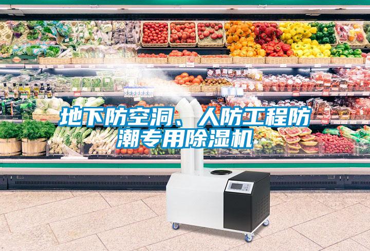 地下防空洞、人防工程防潮專用除濕機(jī)
