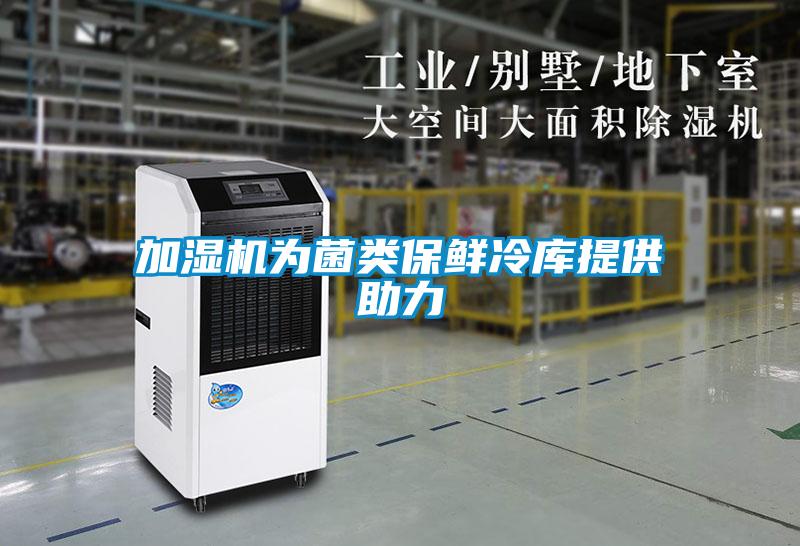 加濕機(jī)為菌類保鮮冷庫(kù)提供助力