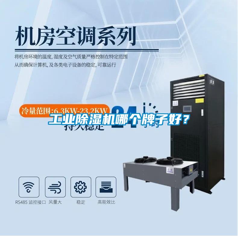 工業(yè)除濕機(jī)哪個(gè)牌子好？