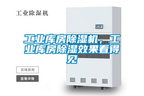 工業(yè)庫房除濕機，工業(yè)庫房除濕效果看得見