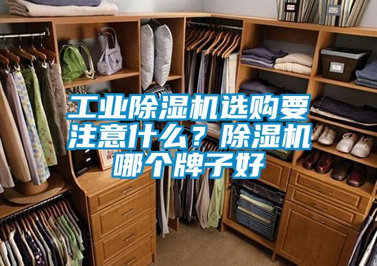 工業(yè)除濕機(jī)選購要注意什么？除濕機(jī)哪個牌子好