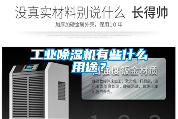 工業(yè)除濕機(jī)有些什么用途？