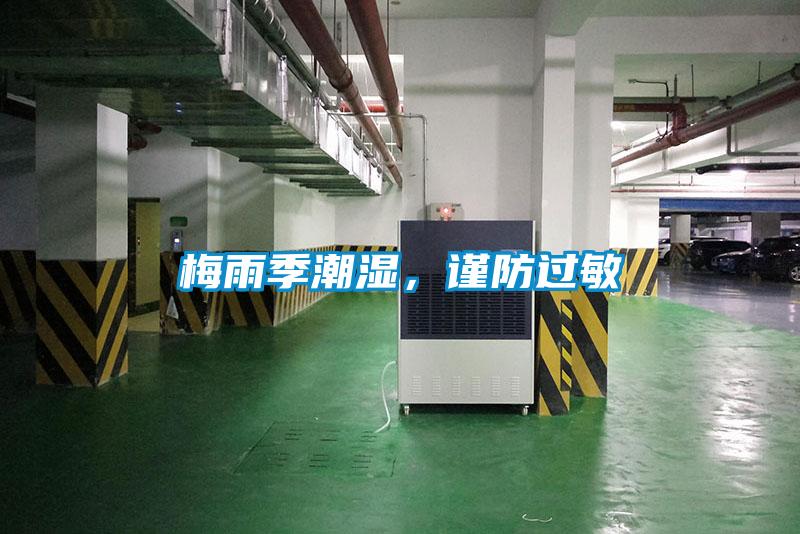 梅雨季潮濕，謹防過敏