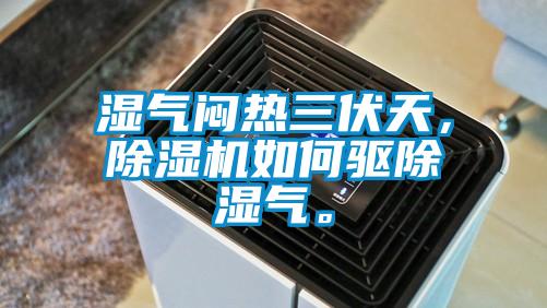 濕氣悶熱三伏天，除濕機如何驅(qū)除濕氣。