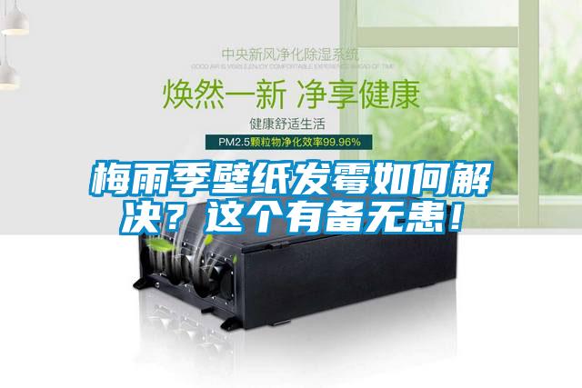 梅雨季壁紙發霉如何解決？這個有備無患！