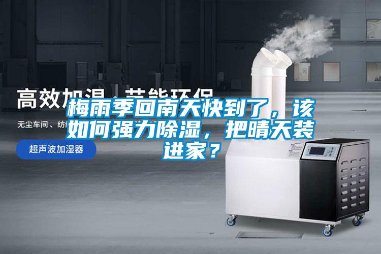 梅雨季回南天快到了，該如何強力除濕，把晴天裝進家？