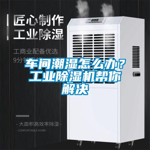 車間潮濕怎么辦？工業除濕機幫你解決