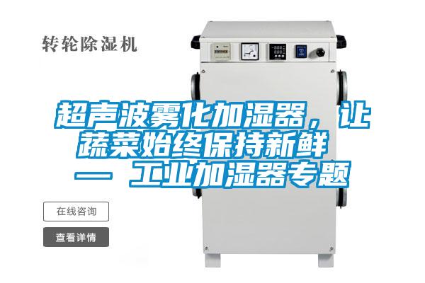 超聲波霧化加濕器，讓蔬菜始終保持新鮮 — 工業(yè)加濕器專(zhuān)題