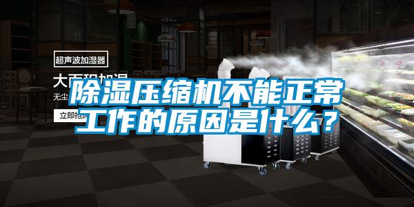 除濕壓縮機(jī)不能正常工作的原因是什么？