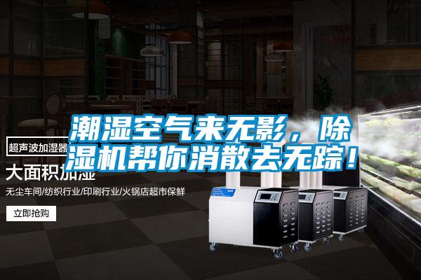 潮濕空氣來無影，除濕機(jī)幫你消散去無蹤！