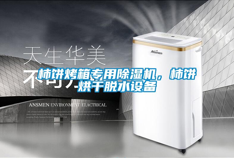 柿餅烤箱專用除濕機,柿餅烘干脫水設備