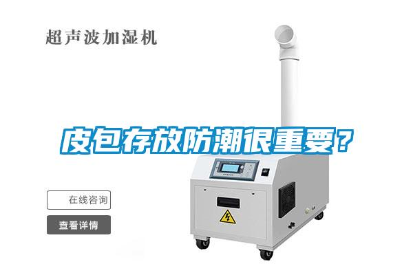 皮包存放防潮很重要？