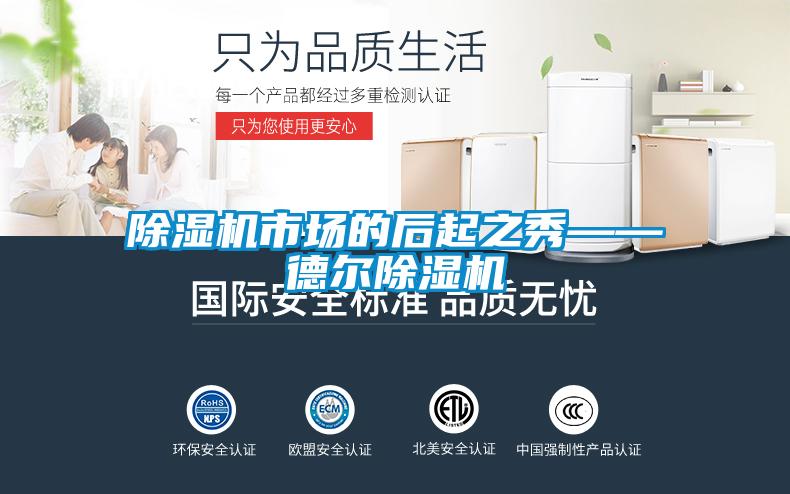 除濕機(jī)市場(chǎng)的后起之秀——德爾除濕機(jī)