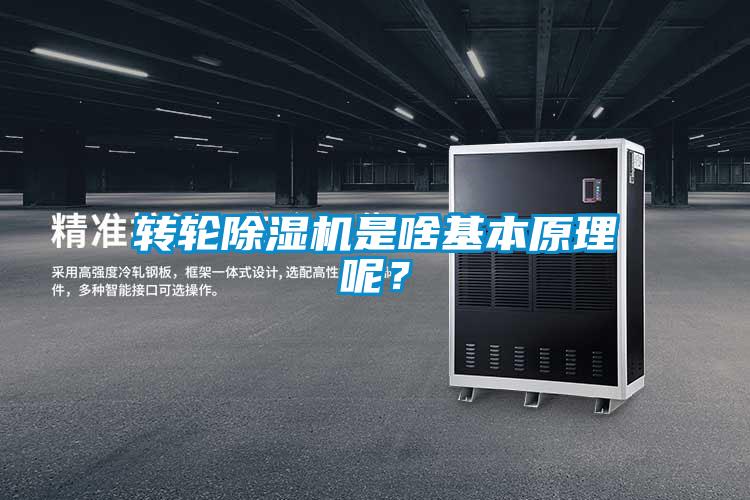 轉(zhuǎn)輪除濕機是啥基本原理呢？