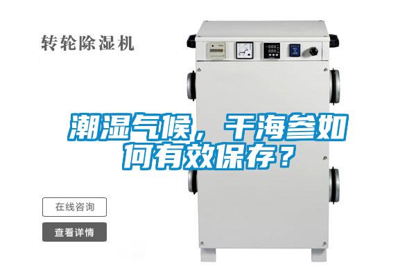 潮濕氣候，干海參如何有效保存？