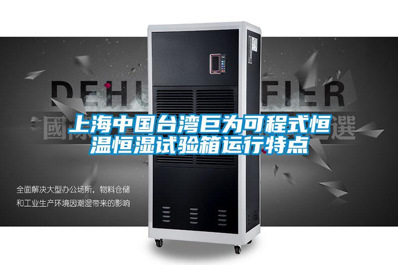上海中國臺灣巨為可程式恒溫恒濕試驗箱運(yùn)行特點(diǎn)