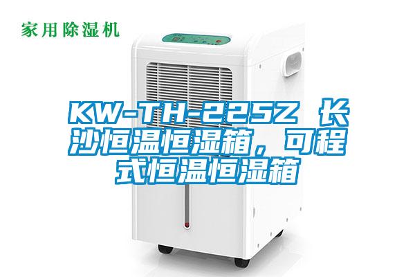 KW-TH-225Z 長沙恒溫恒濕箱，可程式恒溫恒濕箱