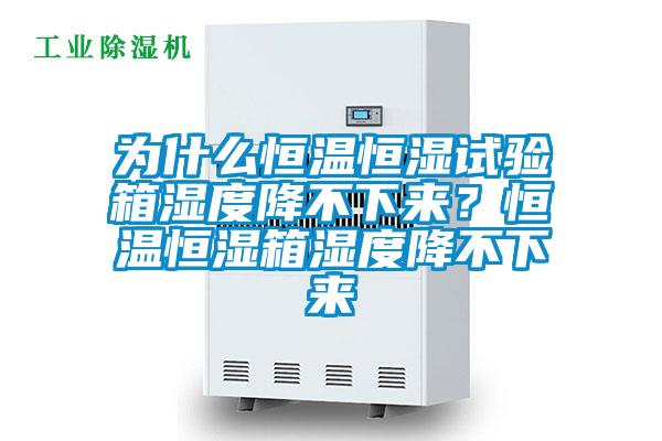 為什么恒溫恒濕試驗箱濕度降不下來？恒溫恒濕箱濕度降不下來
