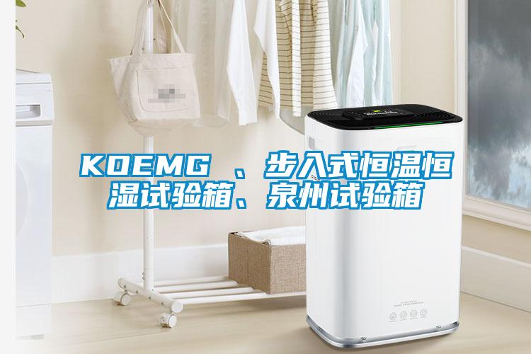 KOEMG 、步入式恒溫恒濕試驗(yàn)箱、泉州試驗(yàn)箱