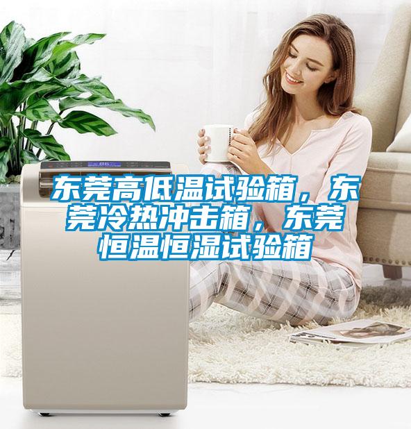 東莞高低溫試驗箱，東莞冷熱沖擊箱，東莞恒溫恒濕試驗箱