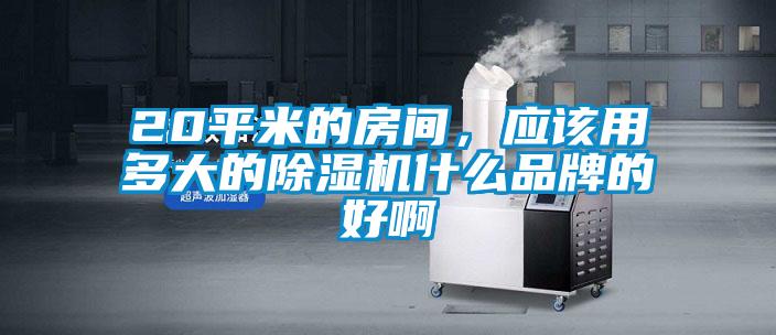 20平米的房間，應(yīng)該用多大的除濕機(jī)什么品牌的好啊