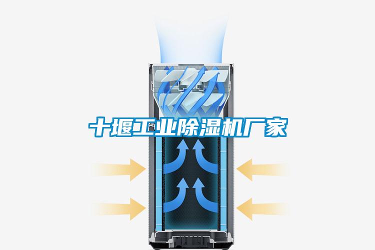 十堰工業(yè)除濕機(jī)廠家