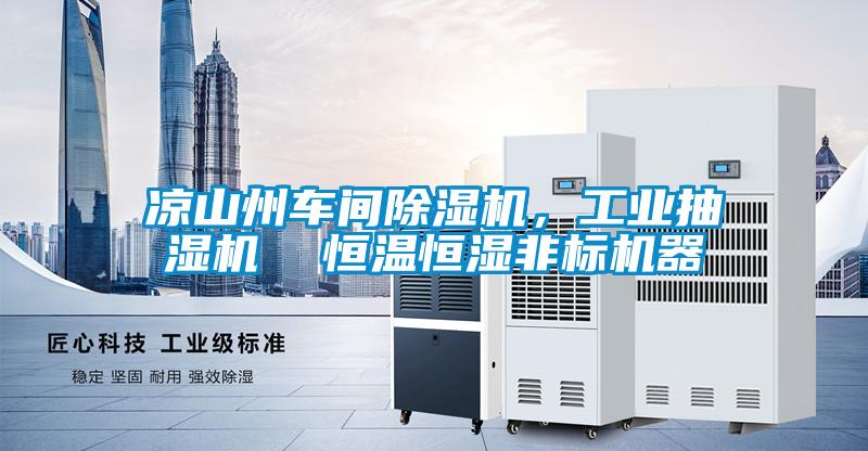 涼山州車間除濕機，工業(yè)抽濕機  恒溫恒濕非標機器