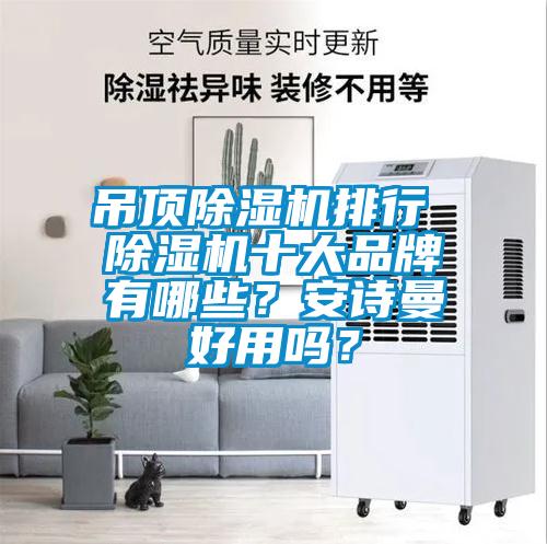 吊頂除濕機排行 除濕機十大品牌有哪些？安詩曼好用嗎？
