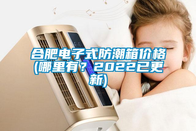 合肥電子式防潮箱價(jià)格(哪里有？2022已更新)