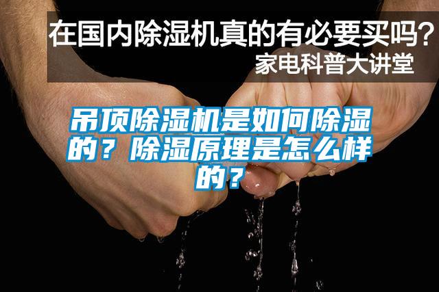 吊頂除濕機是如何除濕的？除濕原理是怎么樣的？