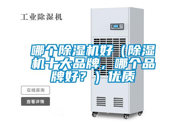 哪個除濕機好（除濕機十大品牌，哪個品牌好？）優質