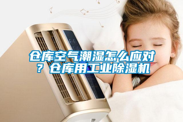 倉庫空氣潮濕怎么應對？倉庫用工業除濕機