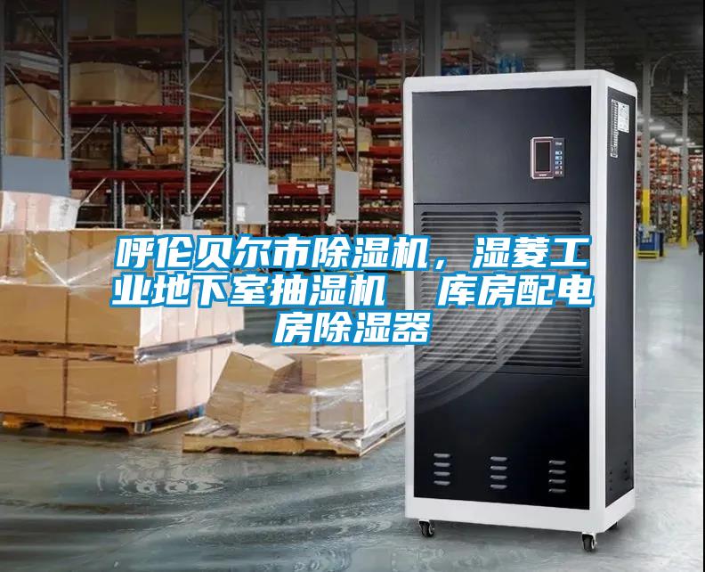 呼倫貝爾市除濕機，濕菱工業地下室抽濕機  庫房配電房除濕器