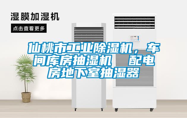 仙桃市工業除濕機，車間庫房抽濕機  配電房地下室抽濕器