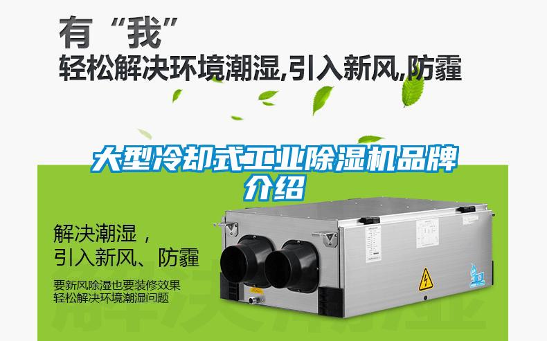 大型冷卻式工業除濕機品牌介紹