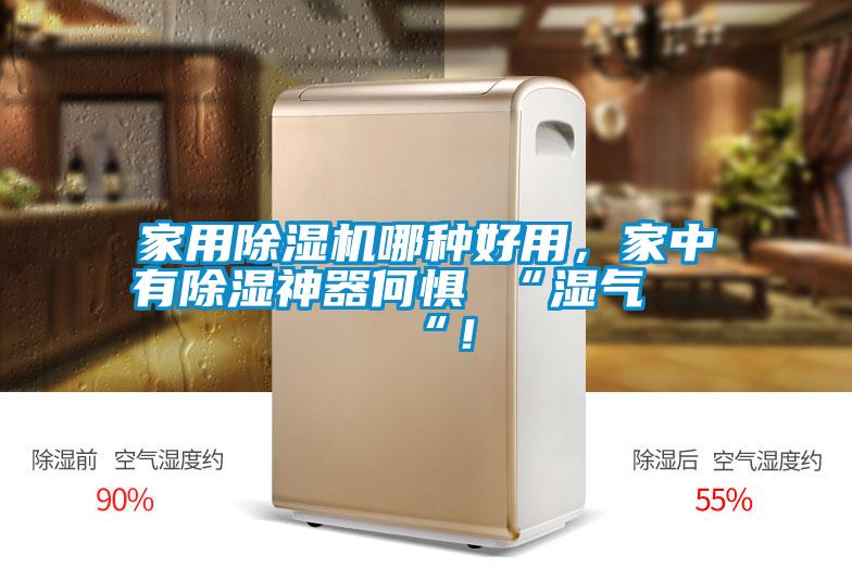 家用除濕機(jī)哪種好用，家中有除濕神器何懼 “濕氣 “！