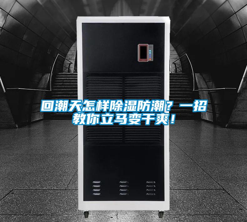 回潮天怎樣除濕防潮？一招教你立馬變干爽！
