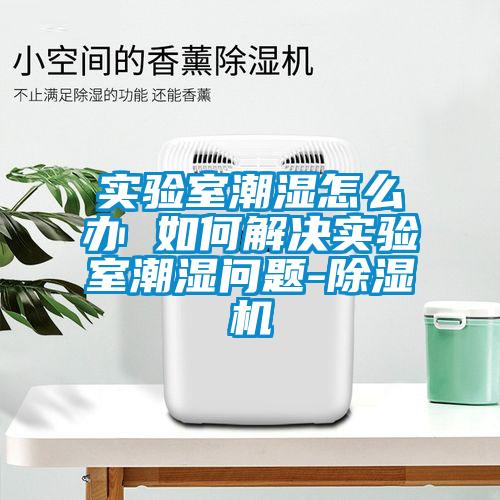 實驗室潮濕怎么辦 如何解決實驗室潮濕問題-除濕機