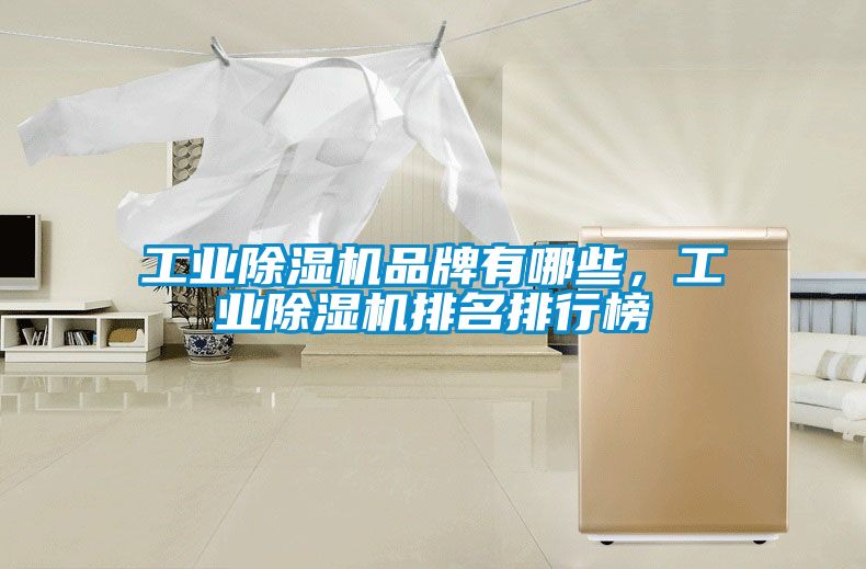 工業除濕機品牌有哪些，工業除濕機排名排行榜