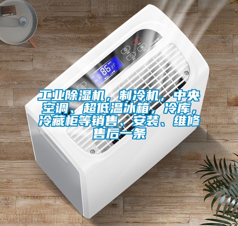 工業(yè)除濕機(jī)，制冷機(jī)，中央空調(diào)、超低溫冰箱，冷庫，冷藏柜等銷售、安裝、維修售后一條