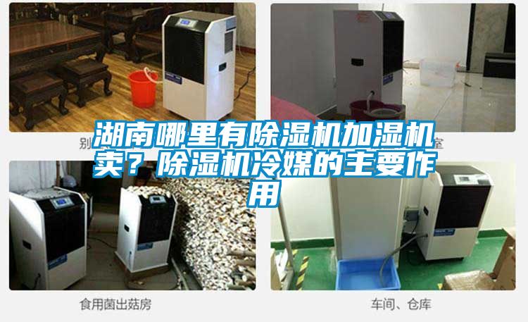 湖南哪里有除濕機加濕機賣？除濕機冷媒的主要作用