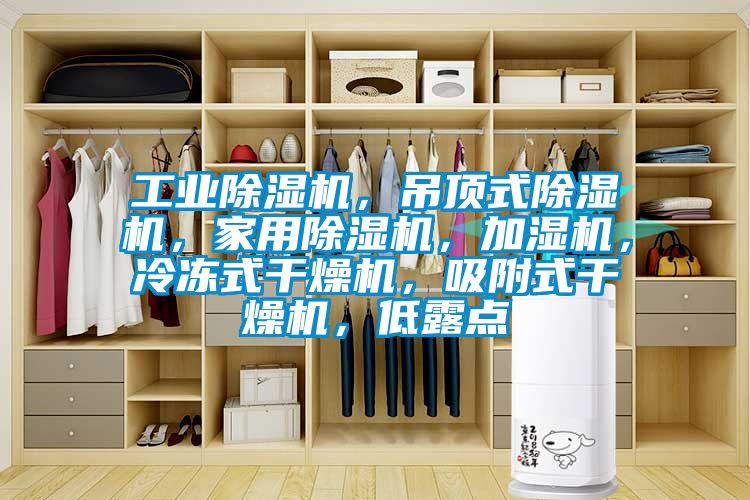 工業(yè)除濕機(jī)，吊頂式除濕機(jī)，家用除濕機(jī)，加濕機(jī)，冷凍式干燥機(jī)，吸附式干燥機(jī)，低露點