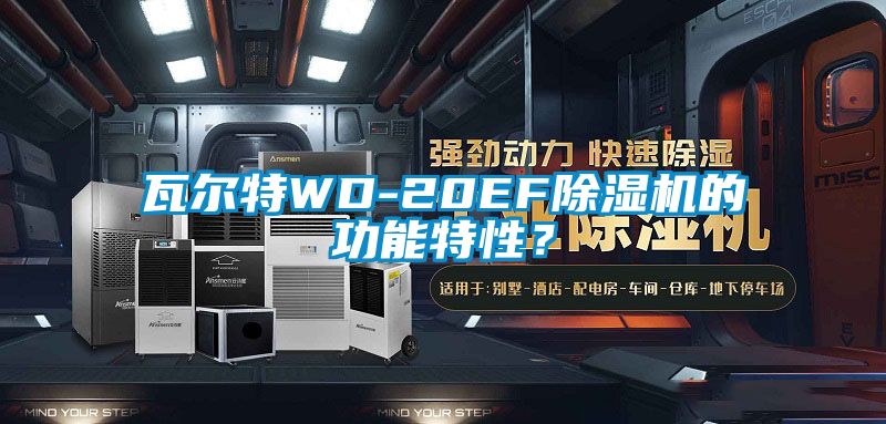 瓦爾特WD-20EF除濕機的功能特性？