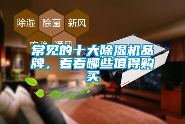 常見(jiàn)的十大除濕機(jī)品牌，看看哪些值得購(gòu)買(mǎi)