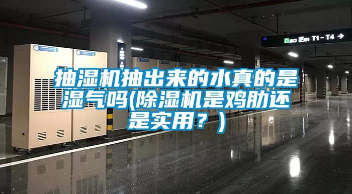 抽濕機抽出來的水真的是濕氣嗎(除濕機是雞肋還是實用？)