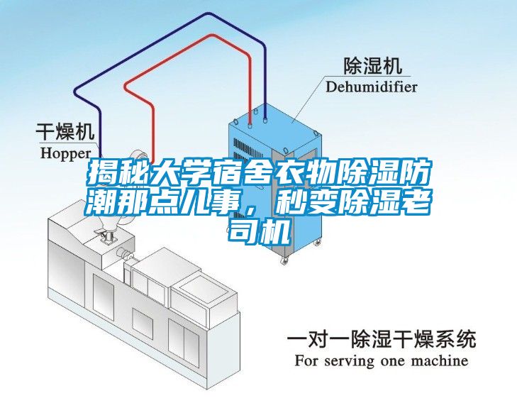揭秘大學(xué)宿舍衣物除濕防潮那點(diǎn)兒事，秒變除濕老司機(jī)