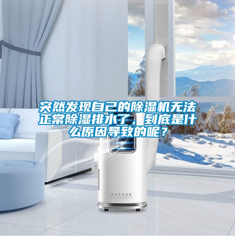 突然發(fā)現(xiàn)自己的除濕機無法正常除濕排水了，到底是什么原因?qū)е碌哪兀?/></p>
						    <p style=